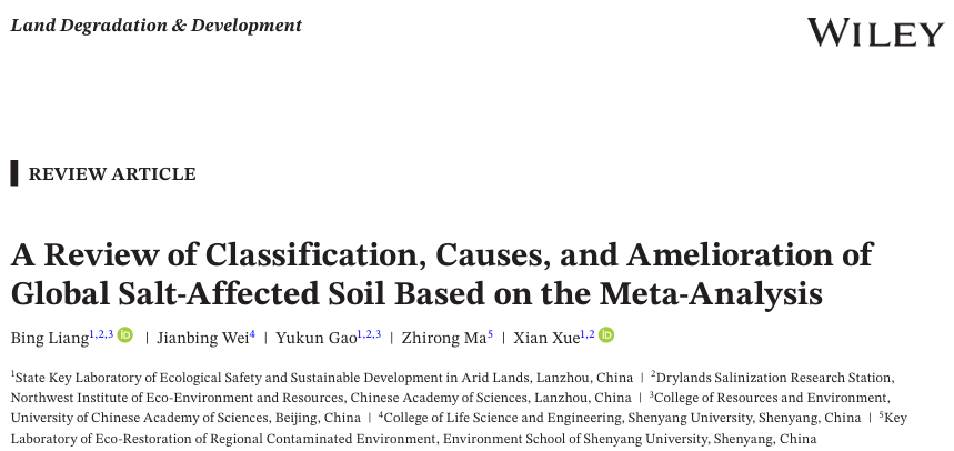 全球十大搜索引擎排名 百度和谷歌SEO推广公司哪家好
