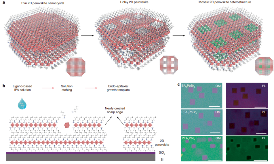 ▲ 内应力驱动的二维钙钛矿面内刻蚀与图案化策略