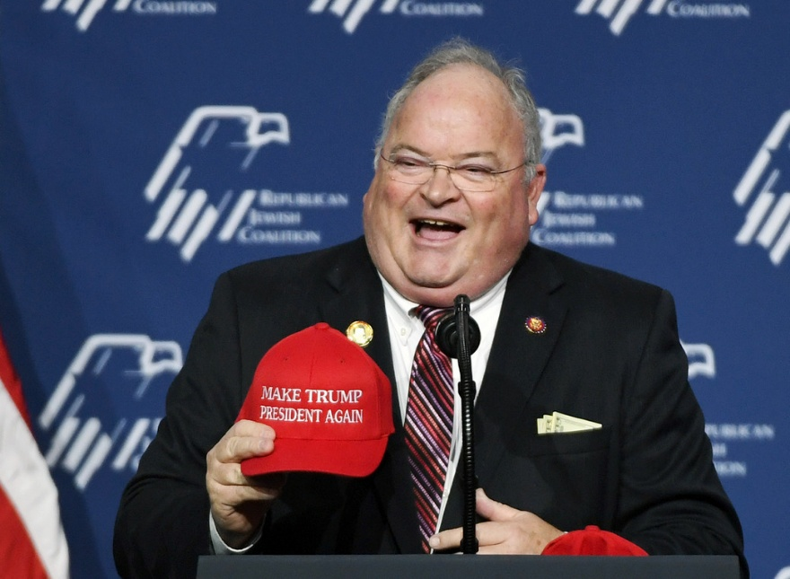 美国驻冰岛大使候选人称冰岛或成 “第52个州”，挨批后道歉