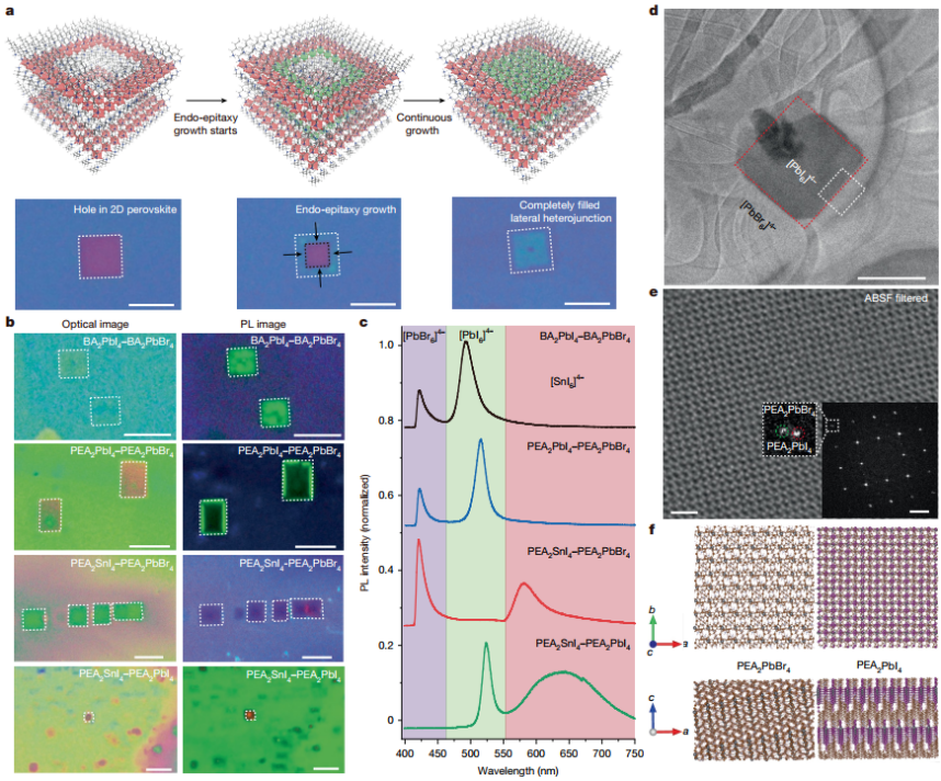 ▲ 二维钙钛矿面内马赛克异质结结构