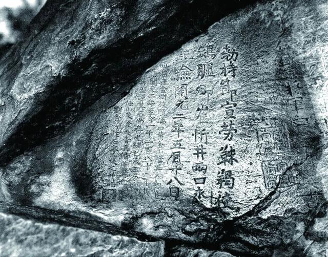 seo01短视频官网