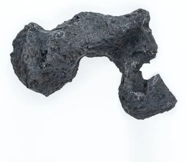 研究中使用的坎波德尔西埃洛铁陨石。图源：埃里克 · 哈尔瓦克斯