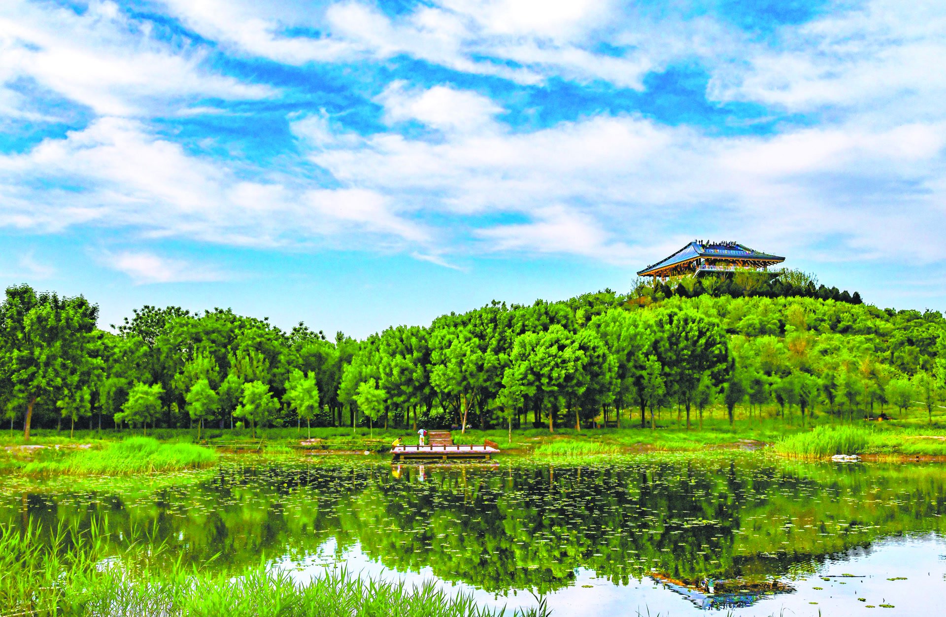 北京丰台推四大行动建花园城市 森林面积五年增长10%|北京市|丰台区|南苑|丽泽|公园_新浪新闻