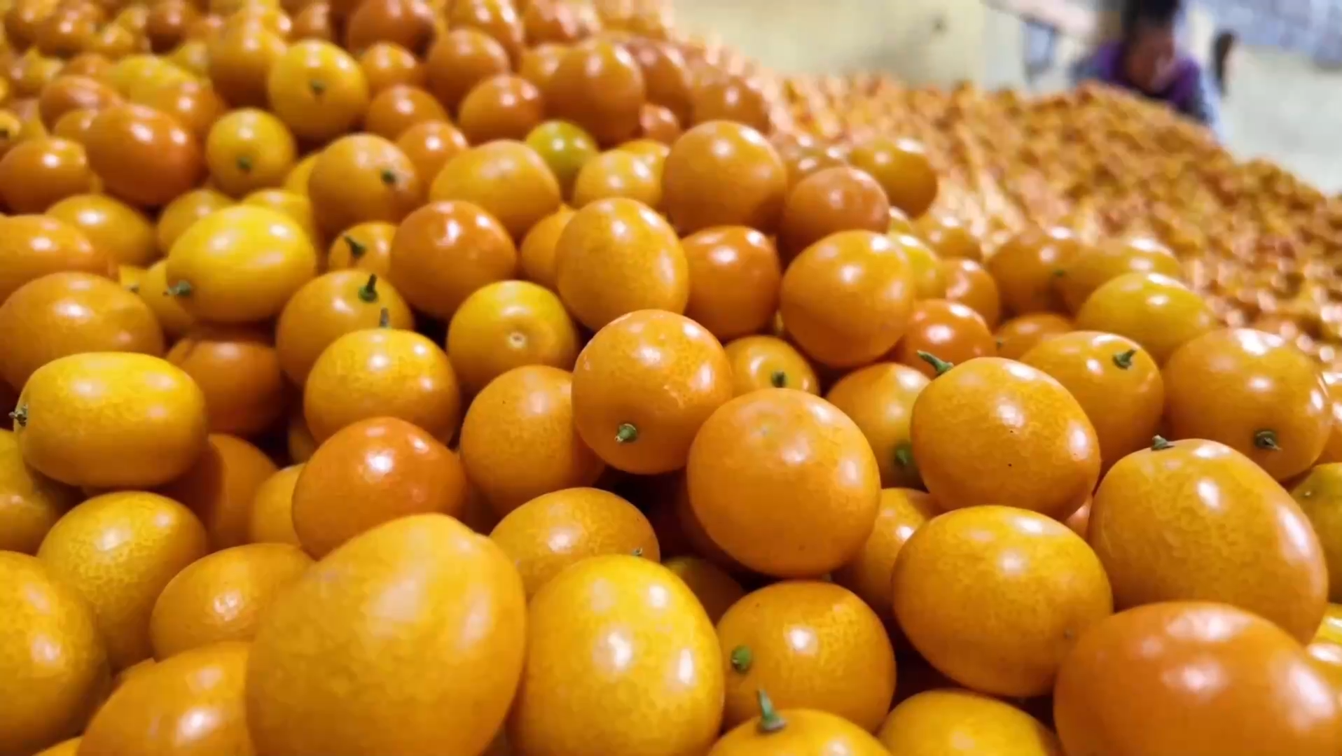 传统果品在“养生赛道”闯出“百亿身价”