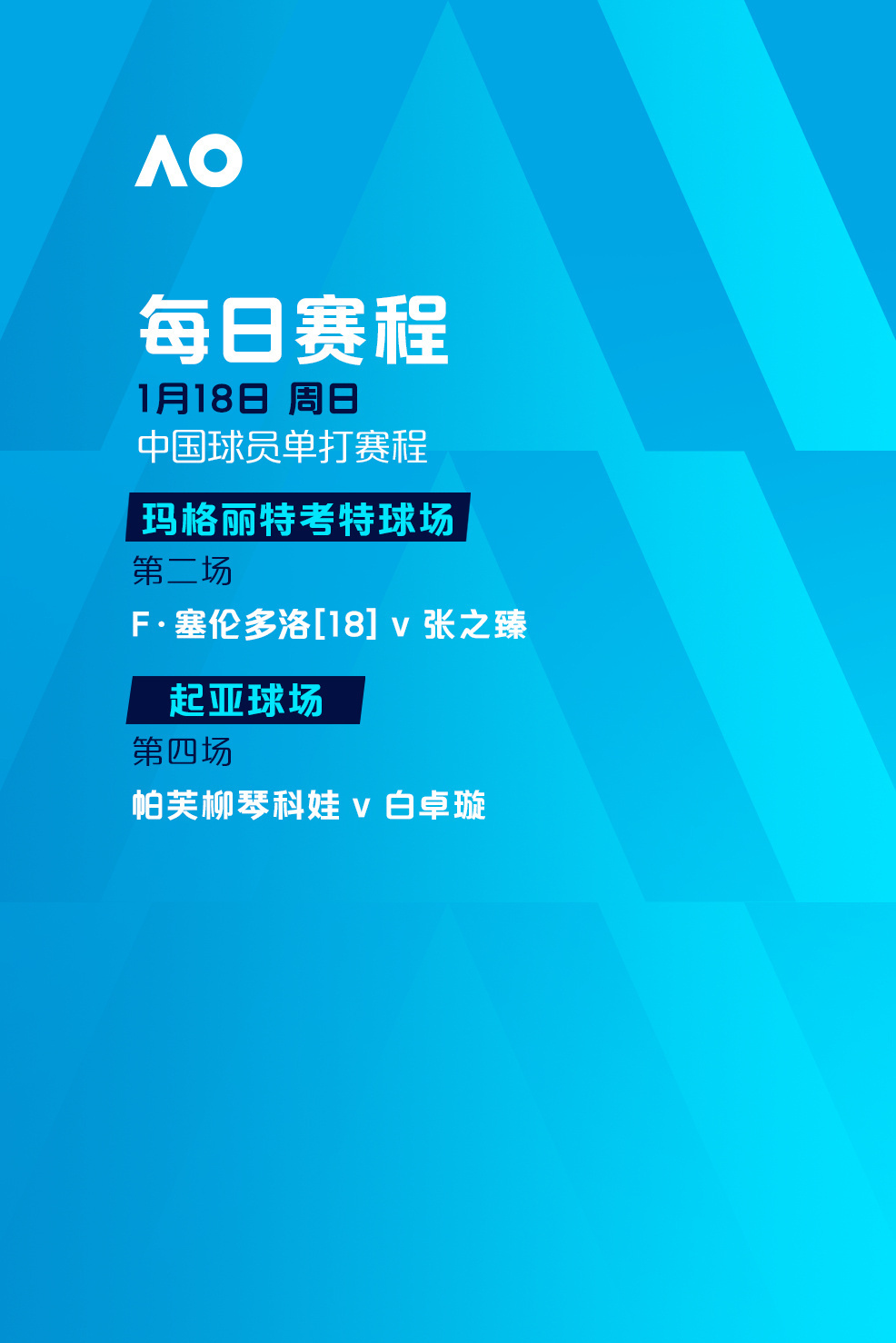 红旗哪一款有旗标