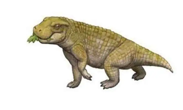 △ 可以吃草的鳄鱼——西摩鳄