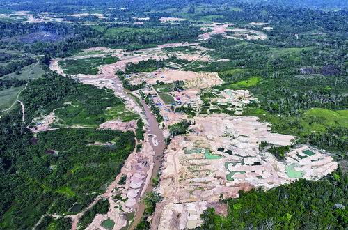 图片来源：Armin Niessner