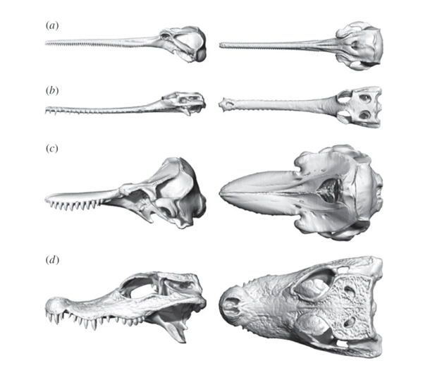图片来源：McCurry et al. 2017