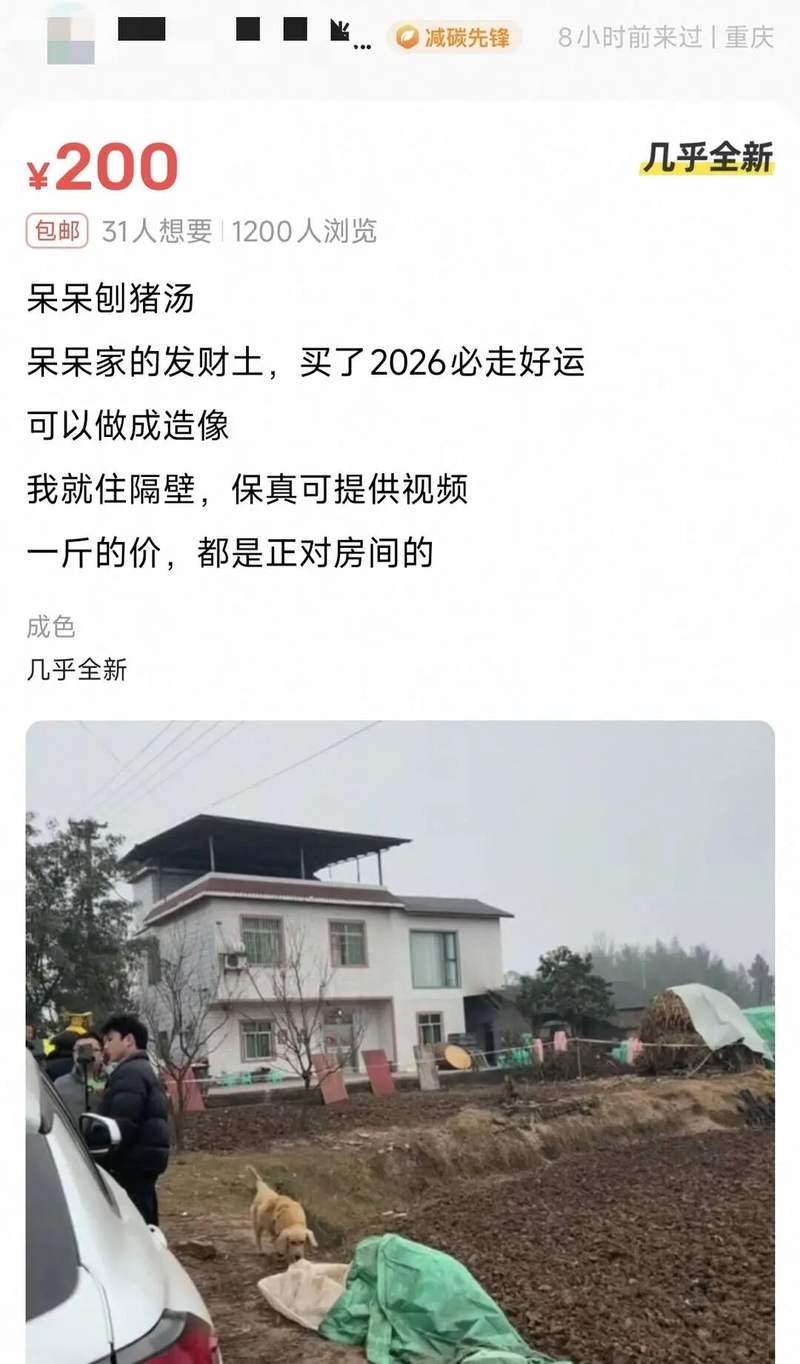 ▲某卖家在二手平台以200元一斤的价格出售“呆呆”家门口的泥土。图/封面新闻