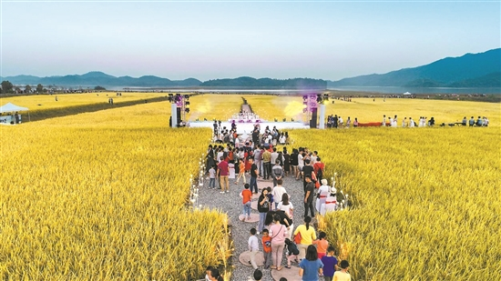 江门市推动全域水经济试点建设