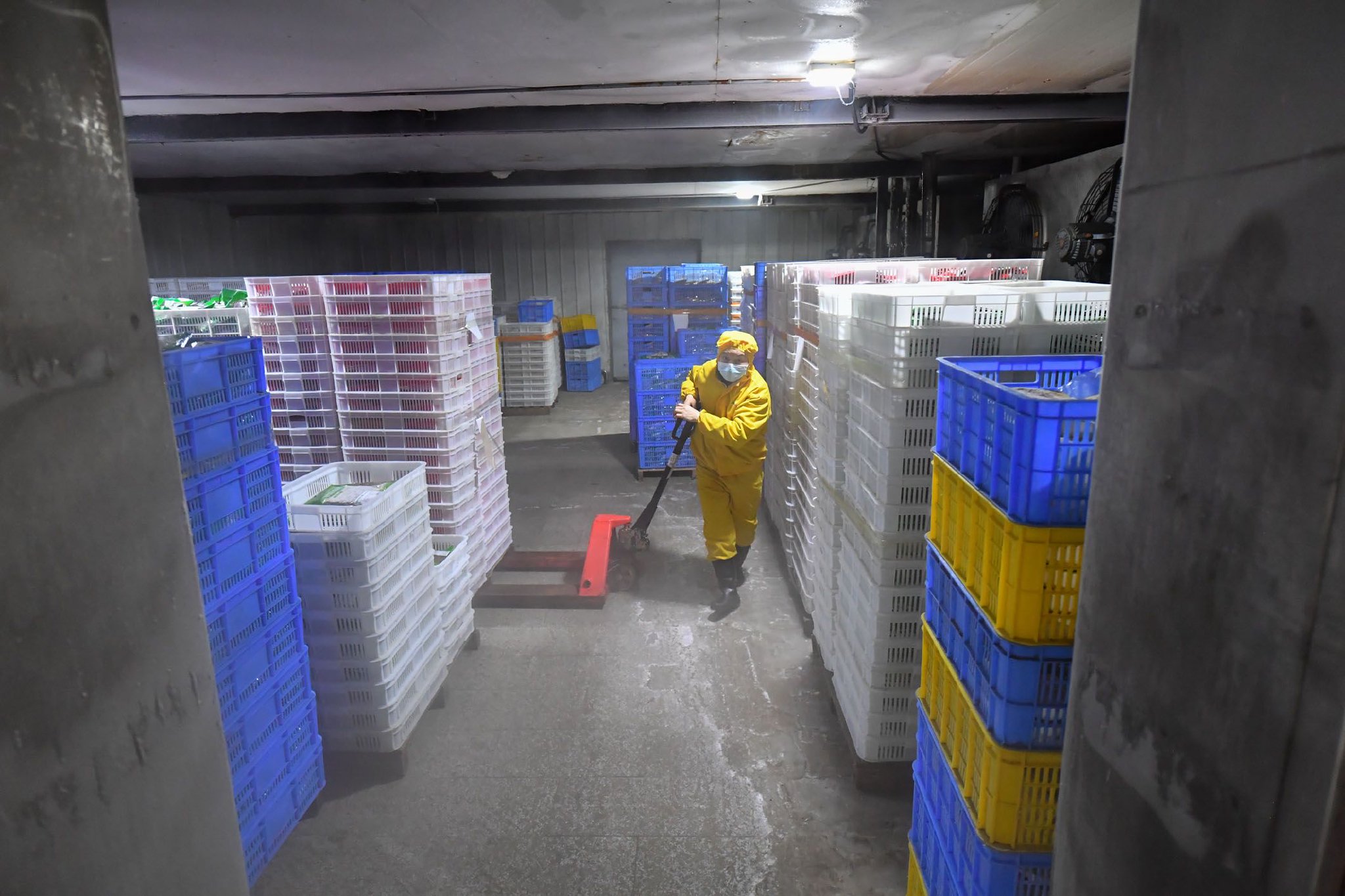 毛利率下滑　红星冷链登陆港股