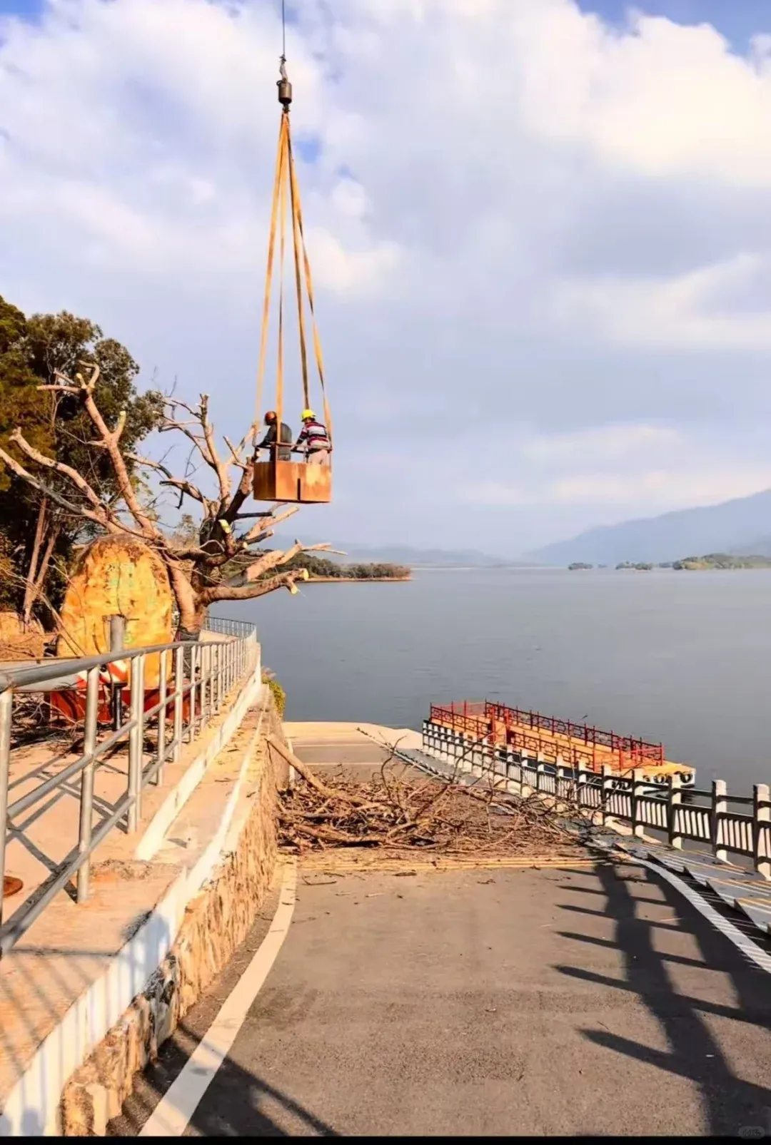 工作人员在修剪树枝。视频截图 