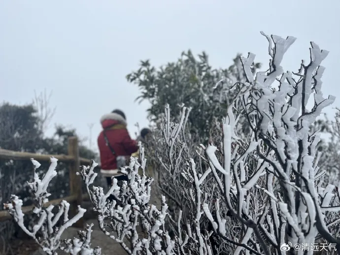 1月22日，连州潭岭水库和连山金子山雪景，图源@清远天气