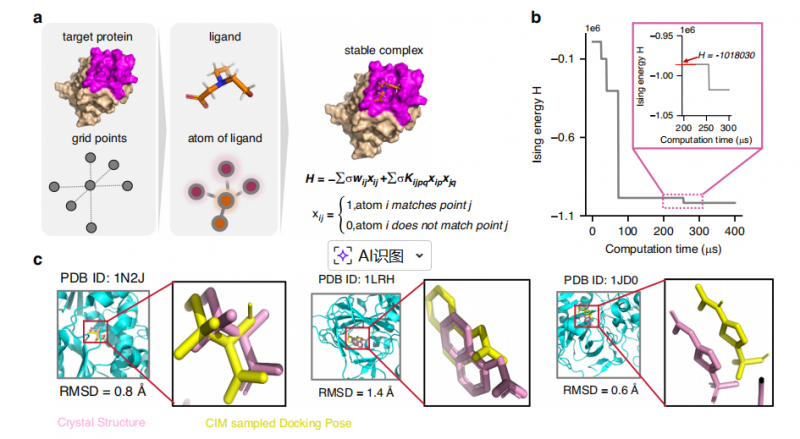 基于相干光量子计算机的分子对接示意图