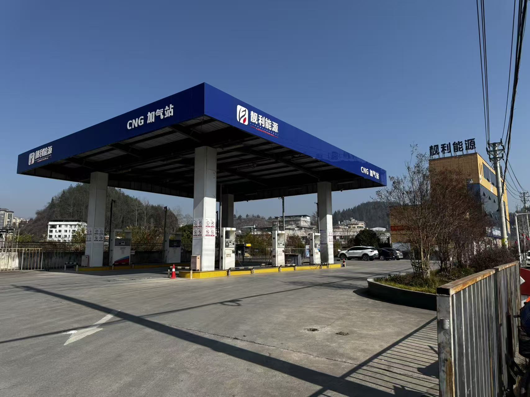 图片拍摄：田鹤琪