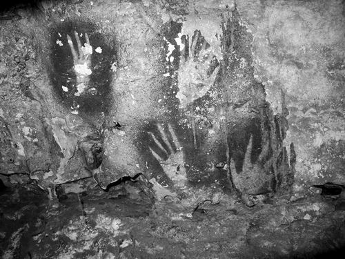 图片来源：Ahdi Agus Oktaviana