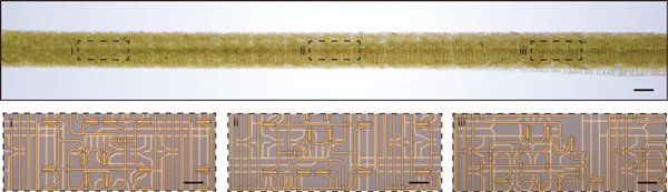 “纤维芯片”及其内部局部电路光学照片