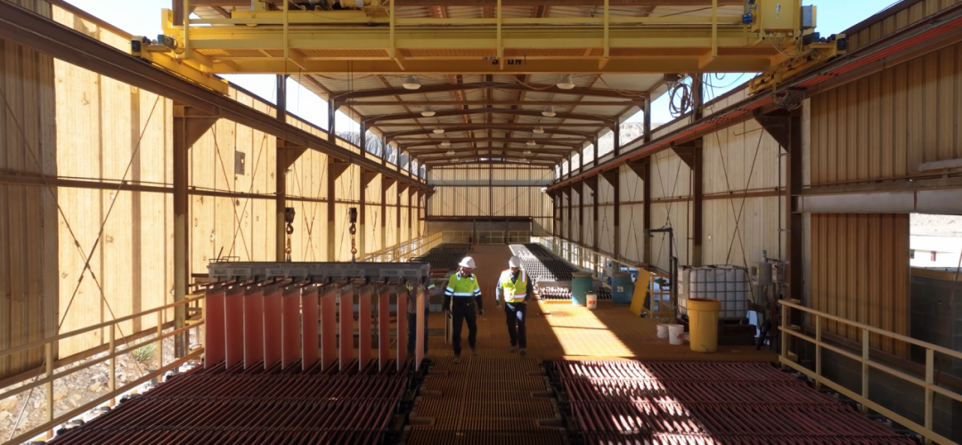 图说：Nuton生产出的第一批阴极铜