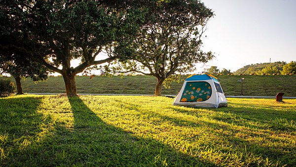 知乎精选:瑞幸咖啡礼品卡-大事小情习惯“问问AI”？警惕AI的“种草式”推荐