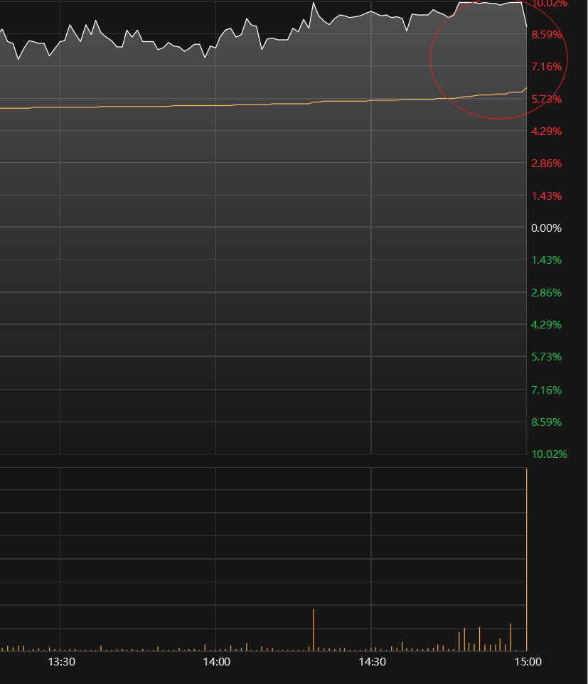 2022年10月31日华森制药尾盘突现跳水