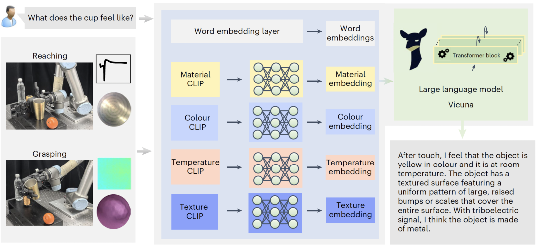 图 5 触觉语言大模型 DOVE