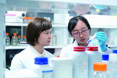 胚胎发育“卡壳”？“远古病毒化石”在作祟