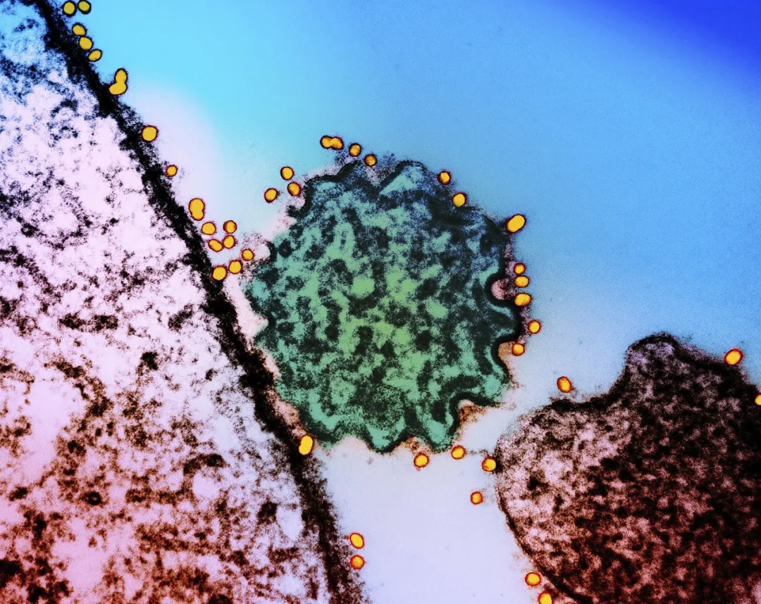 图片来源：视觉中国​