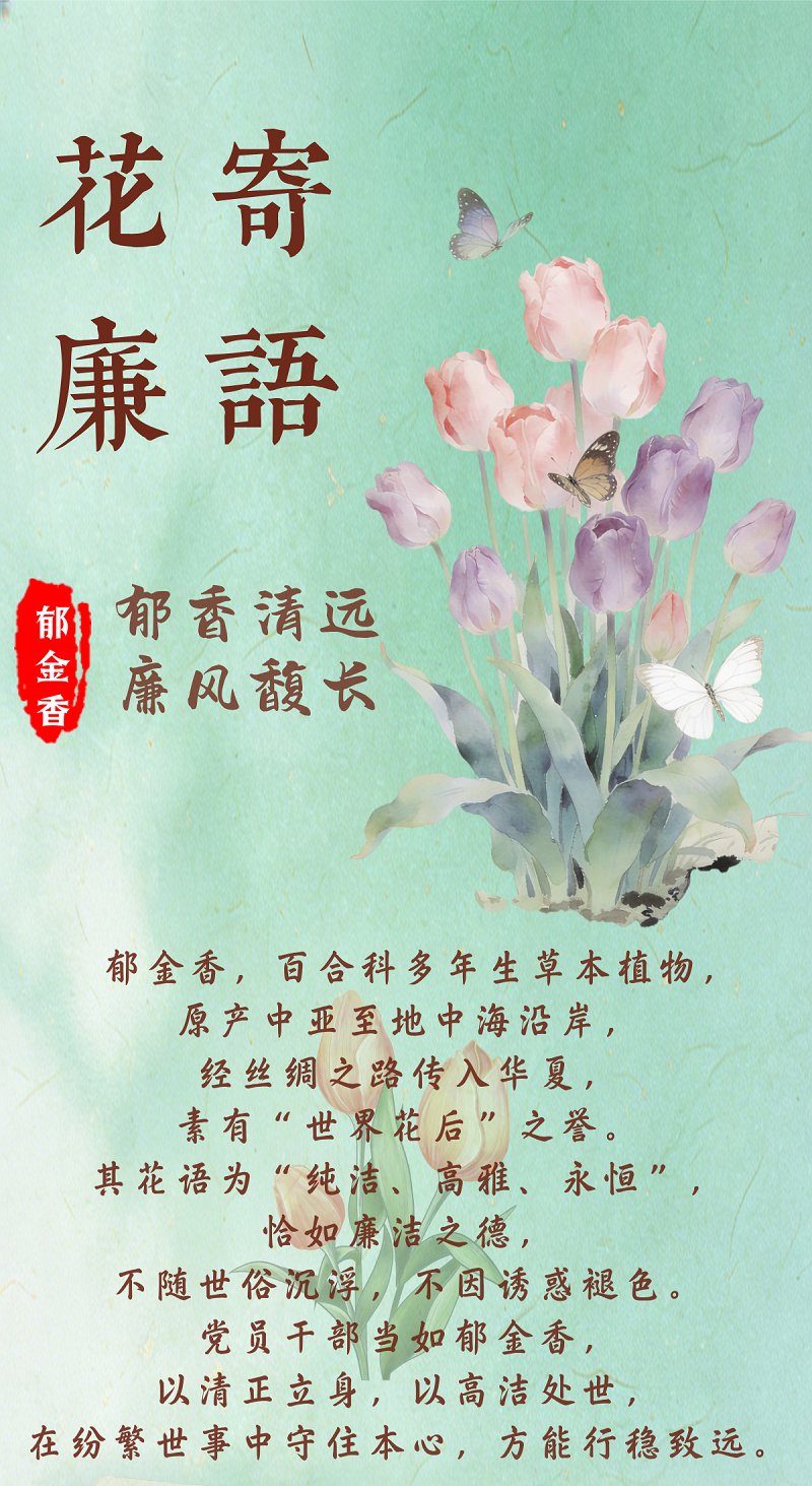 花寄廉语丨郁金香：郁香清远 廉风馥长