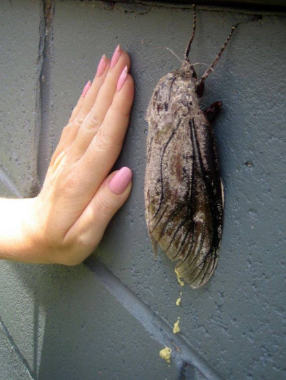 责任编辑：落木