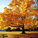 惠民生 暖人心 2025惠民实事 交卷！——“浸润”的力量