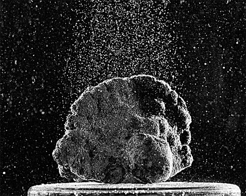 图片来源：美国西北大学