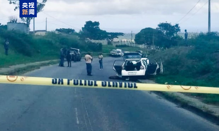 南非警方与犯罪嫌疑人发生交火 4人被打死