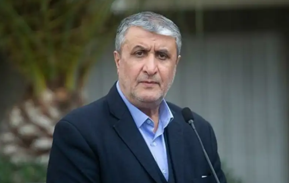 伊朗原子能组织主席：伊朗有能力在无核武情况下保卫国家