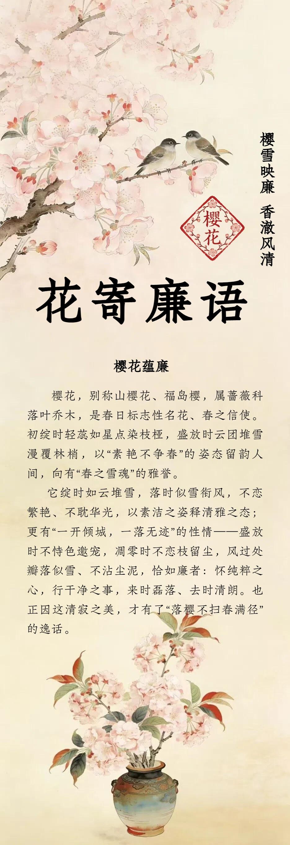 花寄廉语丨樱花：樱雪映廉 香澈风清