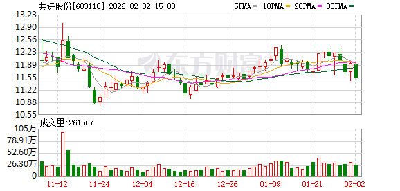 共进股份筑牢战略根基 国资赋能激活高质量发展新动能