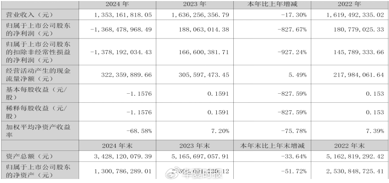 （来源：华仁药业2024年年报）