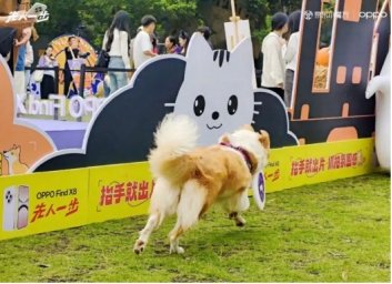   京东×OPPO Find X8萌宠见识会