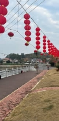     金狮村村道上挂起大红灯笼。受访者供图