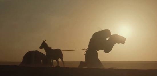 责任编辑：雪花