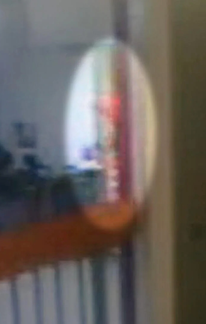 爱泼斯坦死亡当晚监控曝光，“橙色人影”进入封锁区域