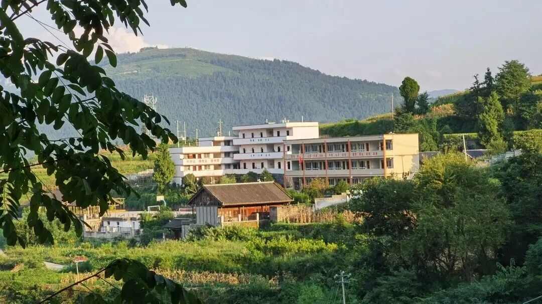 　　▲图源：田字格兴隆实验小学