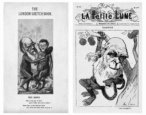 《物种之眼：达尔文传》内页插图。