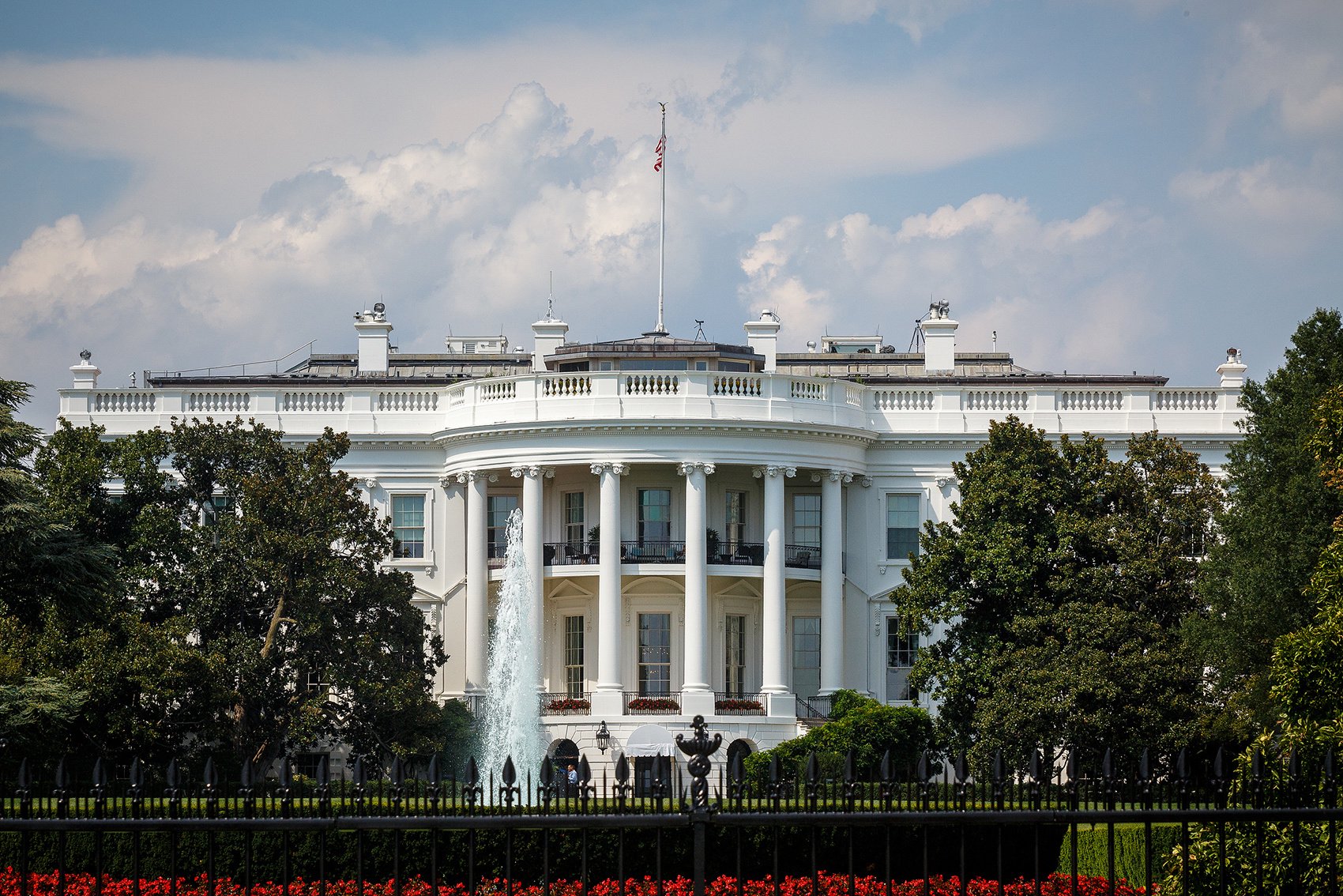 dy在线点赞业务，下单网站哪家强？