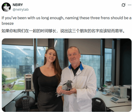 职守剪辑：雪花