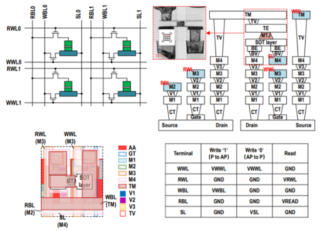 2T-1R SOT-MRAM 位元结构及读写操作示意图