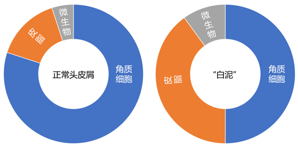 正常头皮屑与“白泥”成分。图源：作者制作
