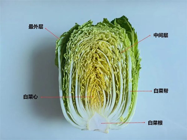 图：自己拍的+自己做的