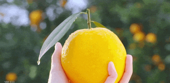 图源富川电视台。