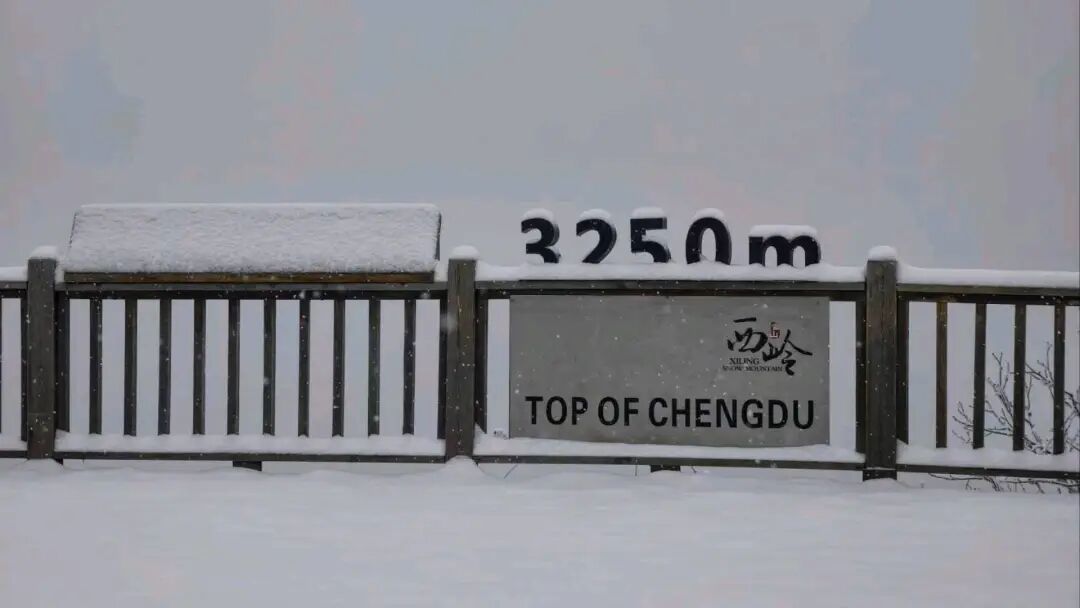 图片开首：成王人日报