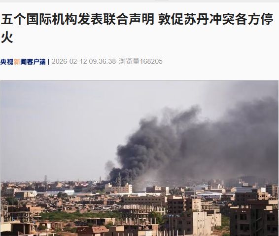 联合国、非洲联盟、阿拉伯国家联盟、欧洲联盟、东非政府间发展组织，发表联合声明！